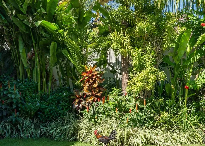 Kadera - 4br Stunning 4 Mins From The Villa *